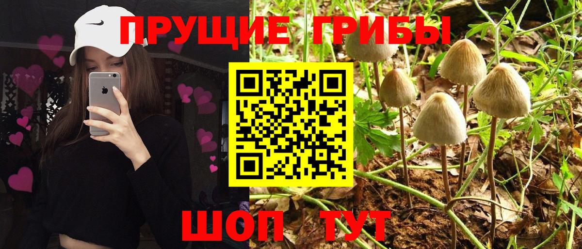 Галлюциногенные грибы ЛСД Мегион