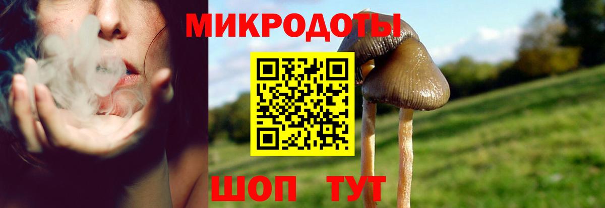 Галлюциногенные грибы Cubensis  магазин продажи   Мегион  Вход с VPN 